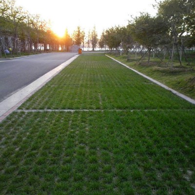 南京植草地坪 南京现浇植草地坪 植草地坪施工 植草地坪模具 中创华美