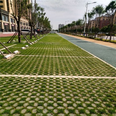 现浇植草地坪 武汉植草地坪 武汉路面施工 高承载植草地坪 中创华美
