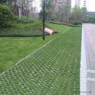 北京植草地坪 现浇植草路面 植草混凝土厂家 中创华美