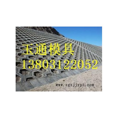 实心刘角护坡砖塑料模具