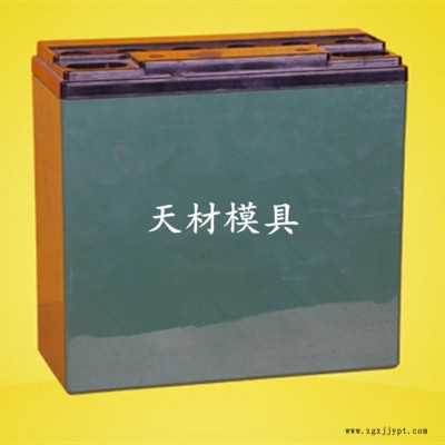 蓄电池模具 蓄电池壳模具