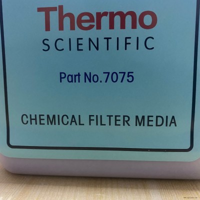 25503021赛默飞热电 ThermoFisher 烟气分析探头密封圈
