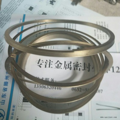 双环式防尘圈金属密封圈 密封环金属缠绕垫片 R涨圈 密封碟环