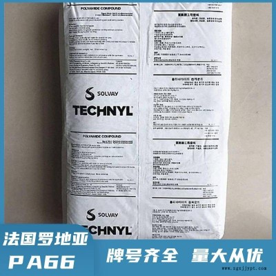 PA66 法国罗地亚 C30H1V30 聚酰胺66 玻纤增强30% 阻燃尼龙66
