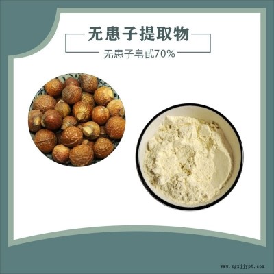 无患子皂甙 天域生物 无患子皂甙10%-70% 洗涤用品发泡剂 现货供应