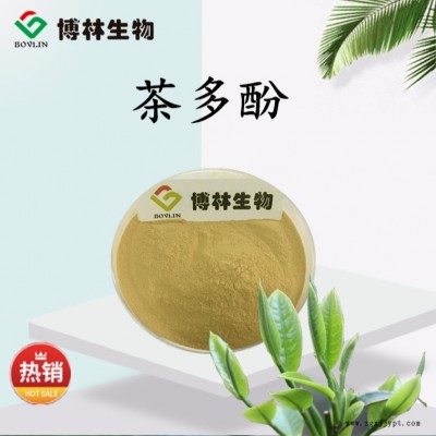 茶多酚40% 绿茶提取物  茶多酚抗氧化剂  食品级 植物提取物 现货包邮