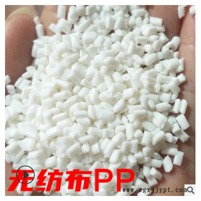 无纺布pp 代替新料 共聚聚丙烯 白色 再生颗粒 注塑回料pp再生料