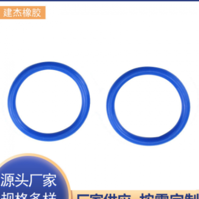 厂家供应硅胶O形密封圈橡胶圈 氟橡胶密封圈导向环油密封圈