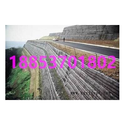 塑料土工格栅设备厂家最新报价