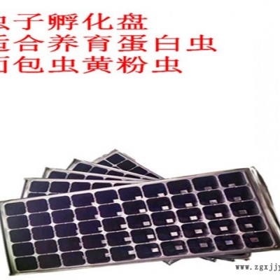 白色育苗盘-育苗盘-河北元庆(查看)